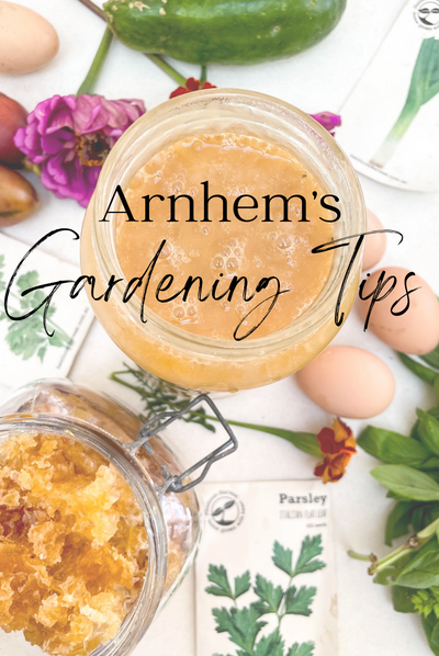 Arnhem Gardening Tips