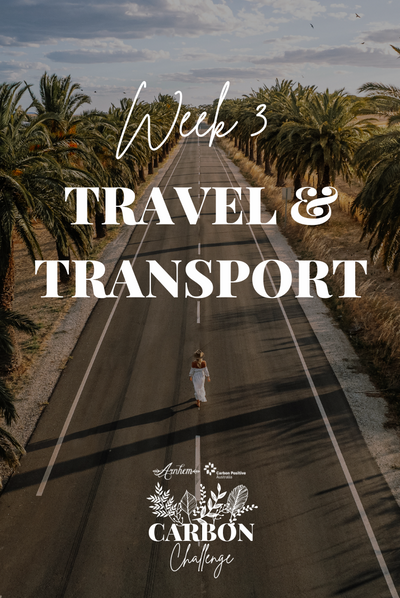 Carbon Challenge Week 3: Travel & Transport
