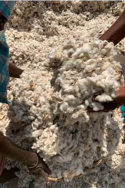 Organic Farming & Fibres ~ Our Cotton Process
