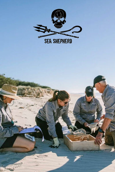 World Oceans Day 2020 | Supporting Sea Shepherd